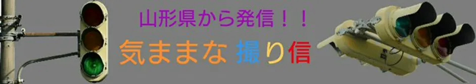 ​気ままな撮り信